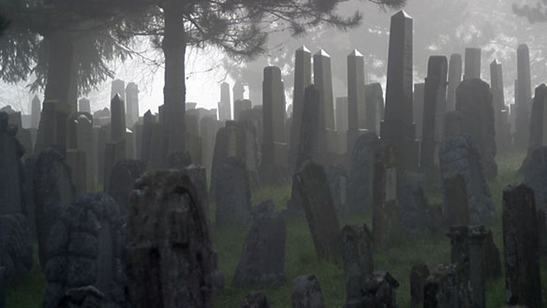 Der jüdische Friedhof in Endingen AG.
