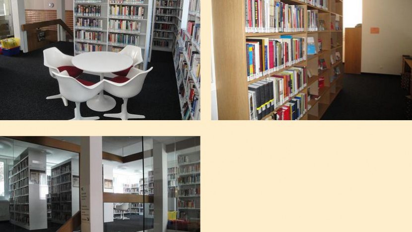 Screenshot der Bibliotheks-Website.