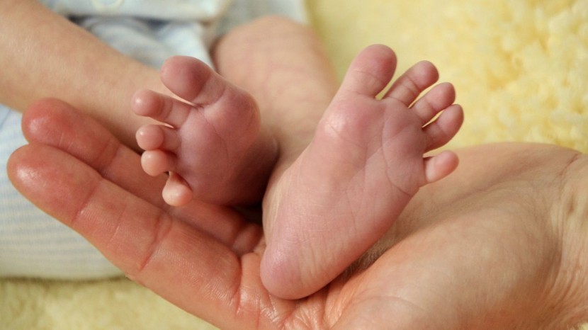 Babfüsse in Erwachsenenhand liegend