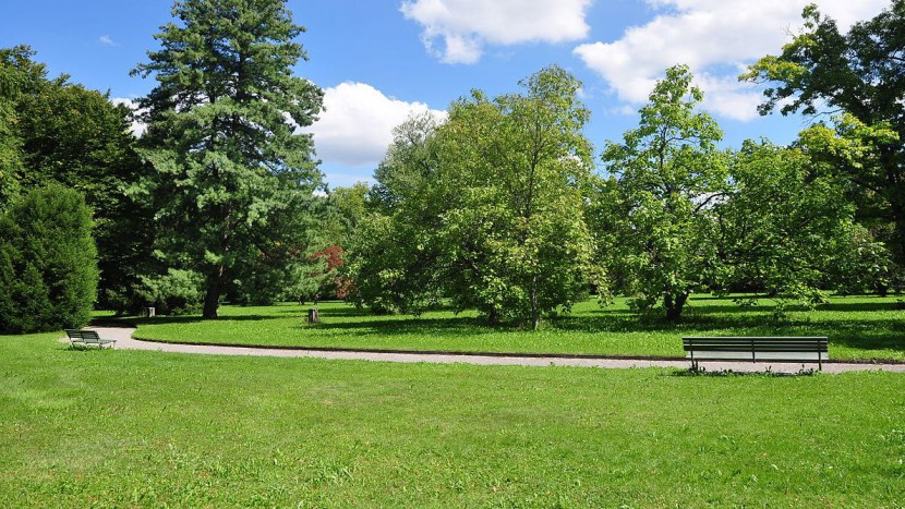 Freifläche auf dem Friedhof Sihlfeld in Zürich.