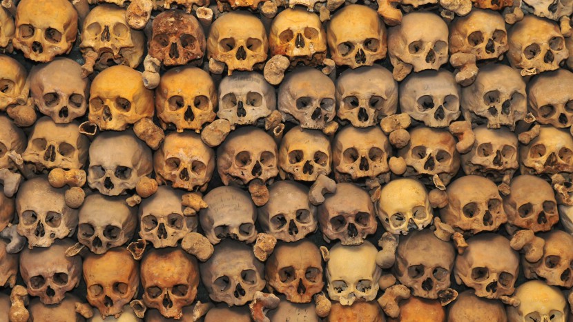 Kontakt mit dem Totenreich: Schädelwand im Beinhaus Stans