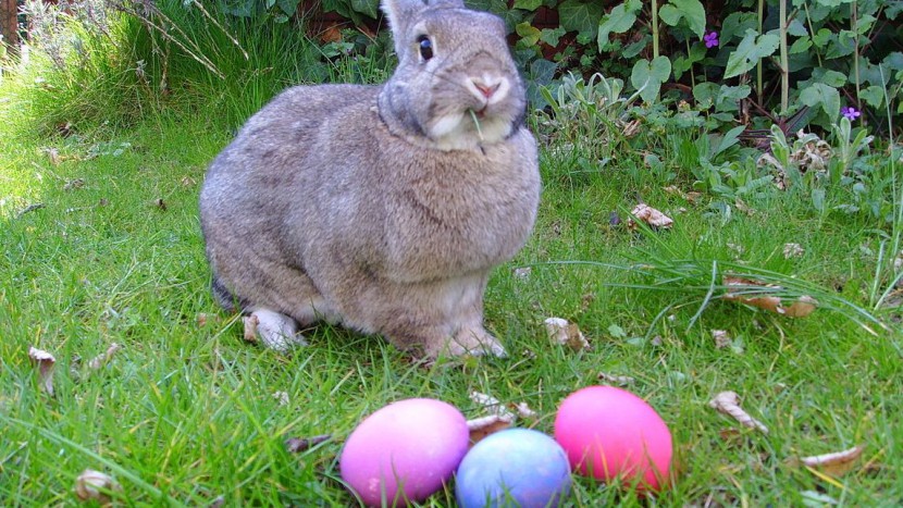 In Deutschland erhält der Osterhase auch viel Post aus Kinderhand.
