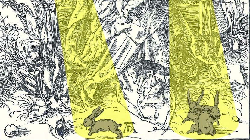 Auch bei Albrecht Dürer hoppeln die Hasen herum.