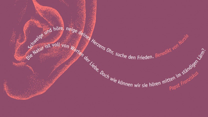 Ausschnitt aus dem Prospekt zur «Schöpfungszeit».