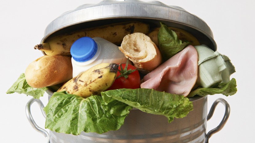 Zu gut für den Abfallkübel: Food Waste