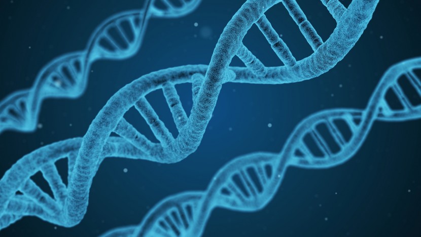 Gott hat in der Naturwissenschaft keinen Platz – dennoch sind viele Forscher gläubig.
