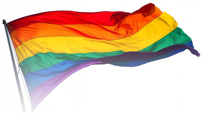 Mit den Lesben- und Schwulenverbänden freut sich auch die Evangelische Kirche in Deutschland über den historischen Entscheid. Bild: Die Regenbogenflagge, Symbol der Lesben- und Schwulenbewegung.