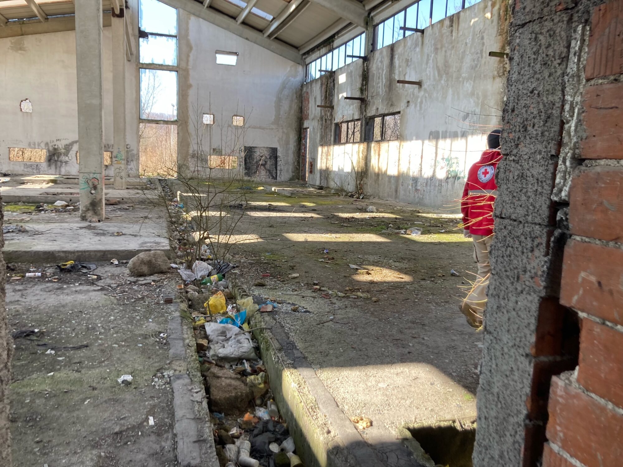 image1